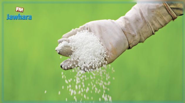 Les engrais destinés à l’activité agricole sont disponibles en quantités suffisantes