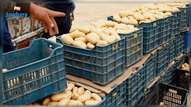 Kasserine : Saisie de 2 tonnes de pommes de terre chez un commerçant de gros