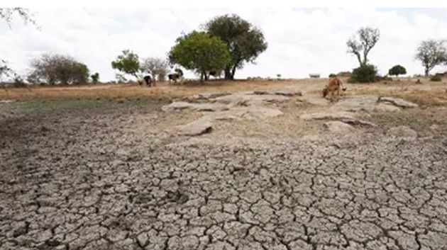 Les changements climatiques ont déjà affecté le quotidien de 84% de Tunisiens, selon une étude