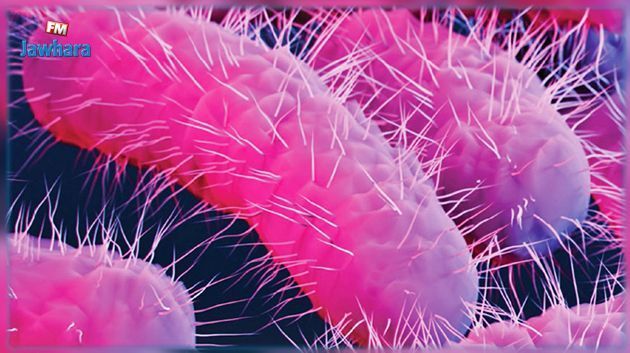 13 cas de Shigella enregistrés à Sousse