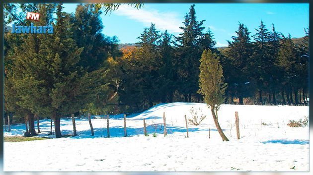 La météo de ce jeudi 26 janvier 2023