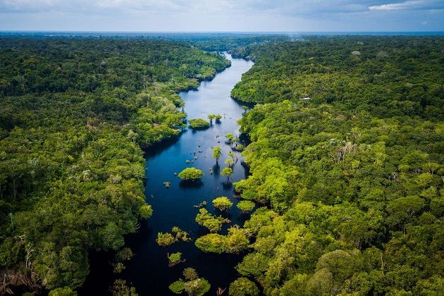 La forêt amazonienne est détruite à un rythme sans précédent sous l’effet des activités humaines