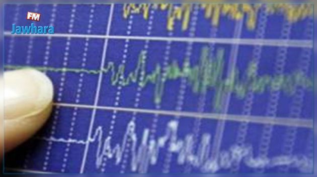 Secousse tellurique d'une magnitude de 3,3 degrés à l'EST de Nefza