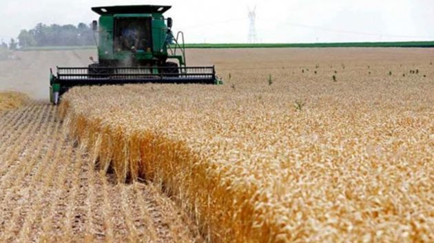 Gestion des Risques Agricoles : la PARM appuie le gouvernement tunisien dans l’évaluation des risques pour les chaînes de valeur « Oléicole et Céréalière »