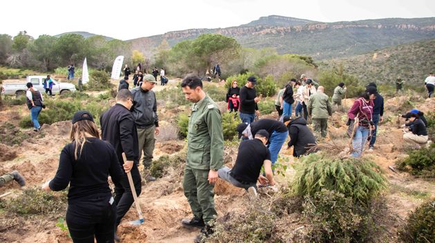 Perenco Tunisie finance et inaugure une opération de reboisement inédite de 40000 arbres dans la région de Nabeul