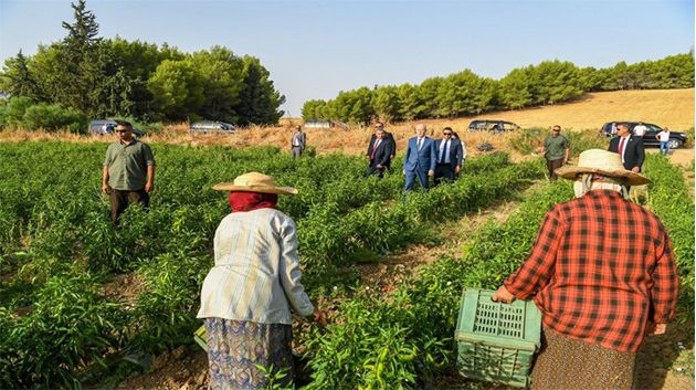Atelier sur le travail décent pour les femmes rurales et leurs employeurs à Jendouba