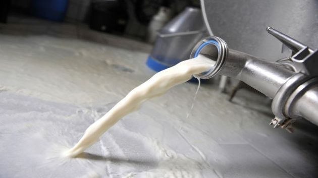 ATIC : Le lait produit en Tunisie est de bonne qualité