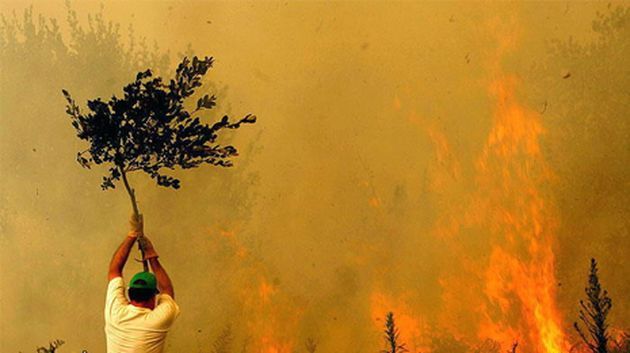 Le Kef : Un incendie dévaste 40 hectares de plantation à Dahmani
