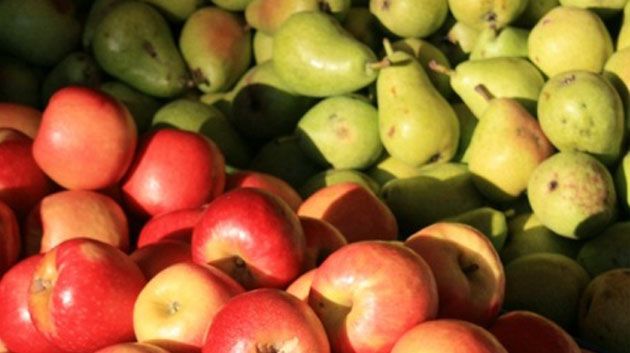 Mise en garde contre la commercialisation des pommes et poires de contrebande