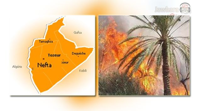 Nefta : 1400 palmiers endommagés dans un grave incendie