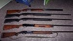 Nabeul : Arrestation de 4 individus en possession de 4 fusils de chasse