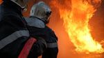 Un incendie ravage près d’un hectare et demi de forêt à Amilcar 