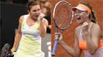 Roland-Garros : Halep défie Sharapova en finale
