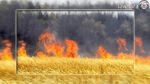 Jendouba : Un litige familial à l'origine de l'incendie d'un champ de blé