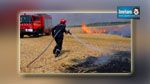Le Kef : 60 hectares de champ de blé ravagés par le feu
