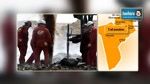 Tataouine : Vers le licenciement de 800 employés de sociétés pétrolières