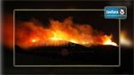 Le feu dévore 10 hectares au Mont Boukornine
