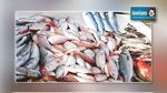 Tunisie: Exportation en hausse des produits de la pêche