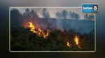Zaghouan : 100 hectares de forêt ravagés par les feux