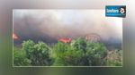 Grombalia : Les pompiers peinent à circonscrire un feu de forêt