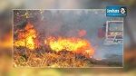 Zaghouan : Cinquième feu de forêt en un mois