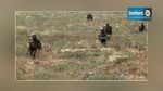 Jendouba : Ratissage du Mont Lihirech et bombardement des cachettes des terroristes