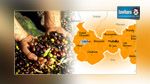 Mahdia : La récolte d'olives s'annonce exceptionnelle
