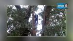Sousse : Un jeune homme trouvé pendu dans une forêt