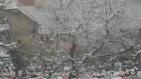 Chute de neige dans la délégation de Makthar