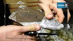Monastir : Arrestation de 4 individus en possession d’une importante quantité de cannabis (Zatla)