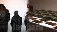 Démantèlement d'un vaste trafic de cannabis entre la Tunisie et l'Algérie