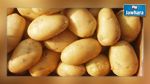 Siliana : Saisie de près de 80 tonnes de pommes de terre et de fourrage animal