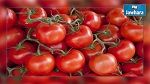 Sousse : Echec d’une tentative d’exportation de 6 tonnes de tomates vers la Libye