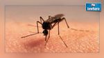 Une agence anti-moustiques : le ministère de l’Environnement s’explique