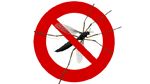 Chronique : Pourquoi ironiser sur l’idée d’une agence anti-moustiques ?