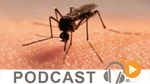 Micro Jawhara du 06-05-2015