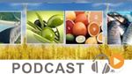 Journal Info 12h00 du 10-05-2015