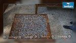 Nabeul : Arrestation de 4 trafiquants de pièces archéologiques
