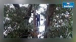 Sousse : Un jeune homme retrouvé pendu à un arbre