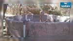 Sidi Bouzid : Deux frères meurent noyés dans un bassin