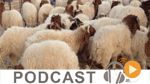 Business News du lundi 17 août 2015