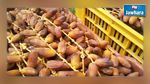 Exportation de 77 mille tonnes de dattes en 2015