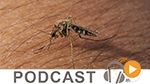 Micro Jawhara du lundi 19 octobre 2015
