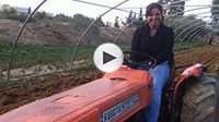 Souad Dardouri : L'histoire d'une femme agricultrice