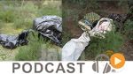 Journal Info 12h00 du lundi 28 décembre 2015