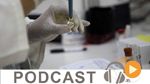 Journal Info 07h00 du mercredi 3 février 2016
