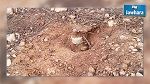 Découverte de deux mines à jebel Semmama