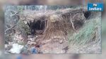 Mont Selloum : Un nouveau camp de terroristes découvert (photos)