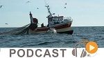 Journal Info 19h00 du Mardi 16 Février 2016