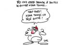 Caricature du mardi 23 février 2016